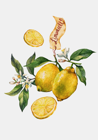 Lemon Citrus Limon Poster