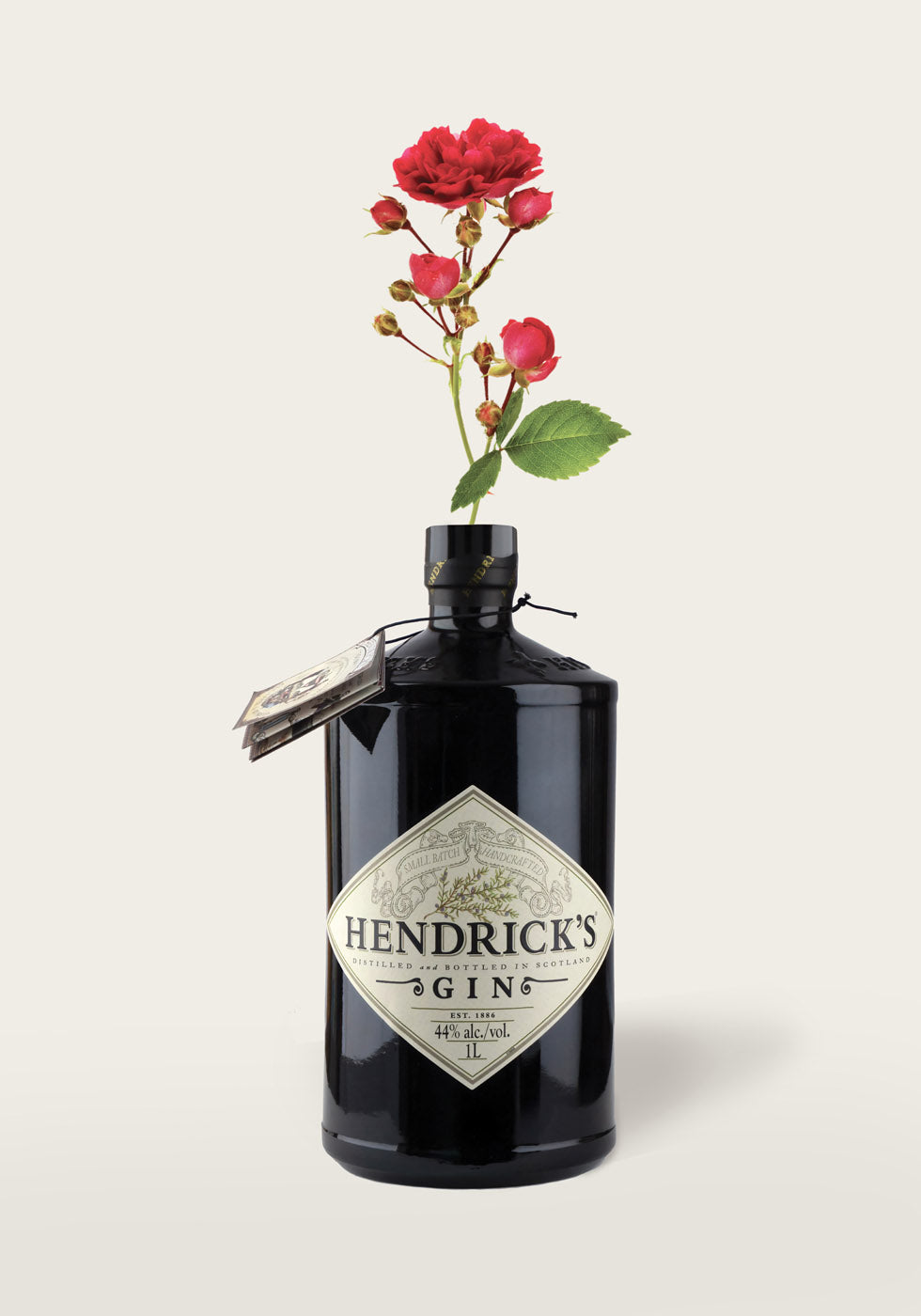 Dried Flowers Gin Bottle Poster