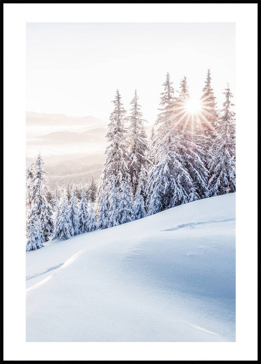 Winter Sunrise Poster