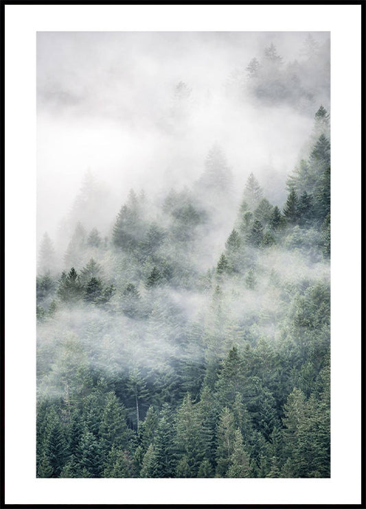 Tree Top Fog Poster