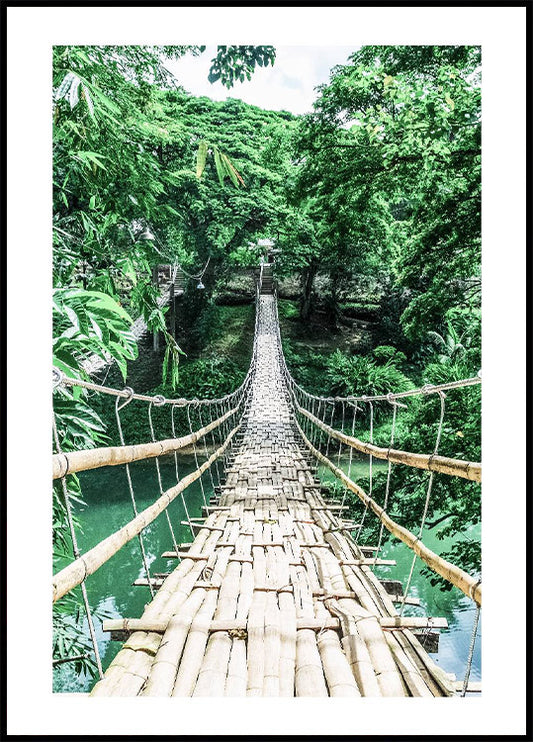 Bamboo Hanging Bridge Poster
