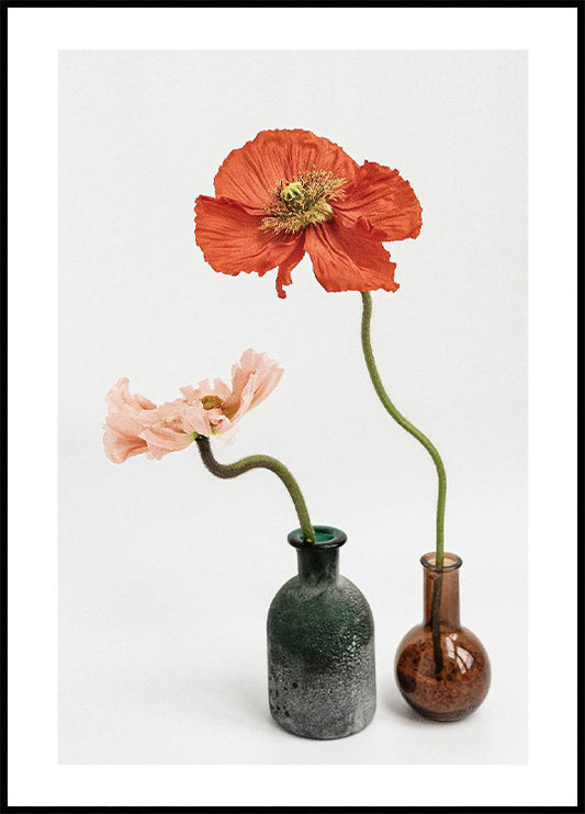 Red and Pink Poppy Flowers Poster