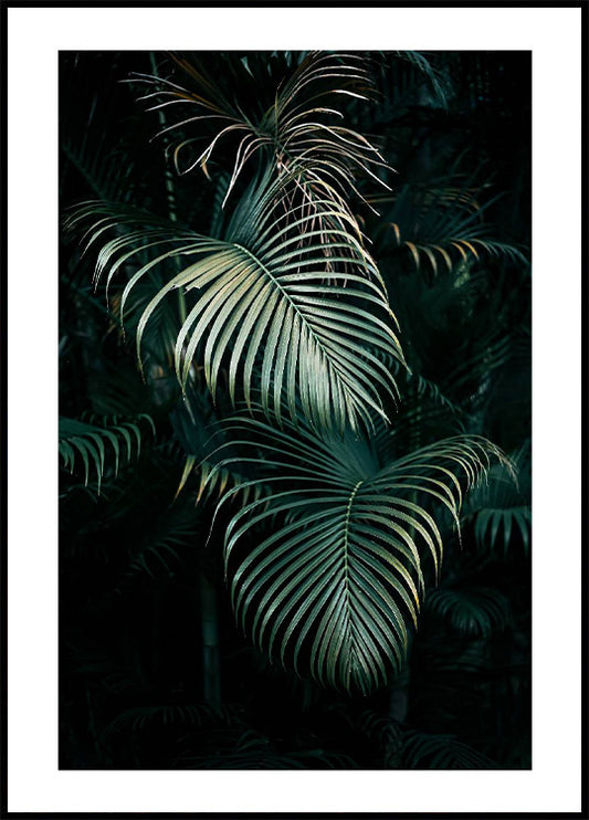 Jungle Palm Leaves Poster