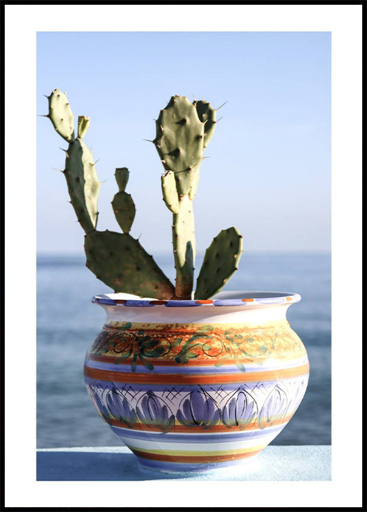 Succulent Vase Seaside Poster