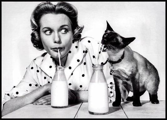 Josephine Griffin with Cat Drinking Milk Poster
