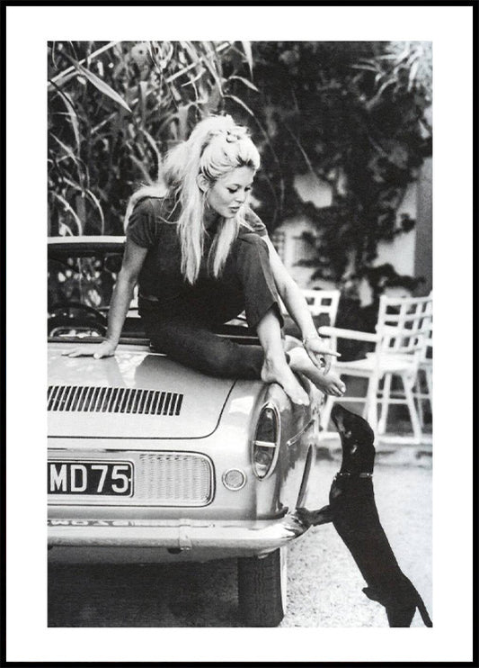 Brigitte Bardot 1962 Poster