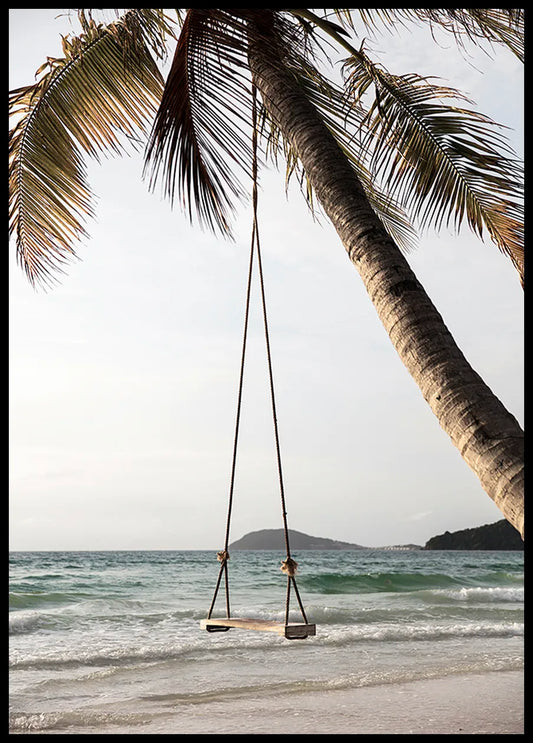 Palm Tree With Swing Poster