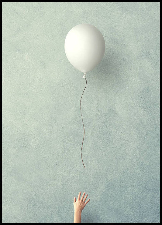 Balloon Fly Free Poster
