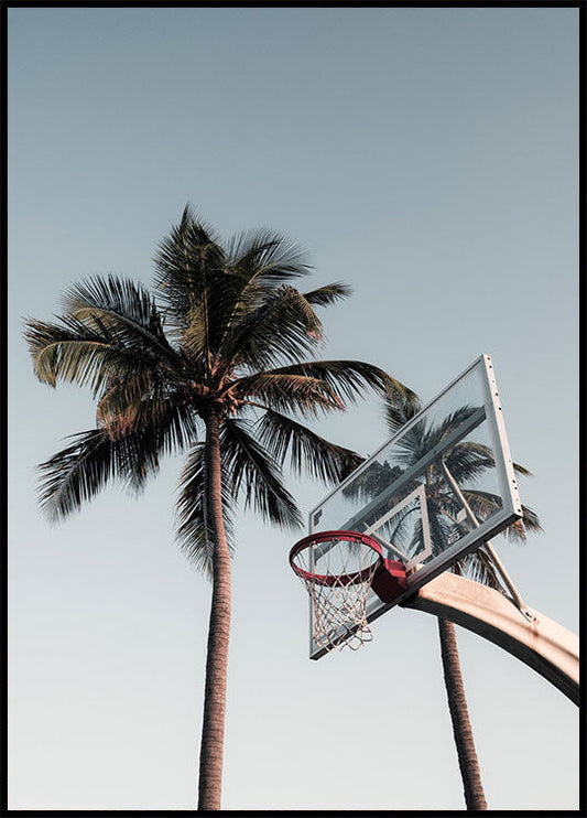Basketball Hoop Poster