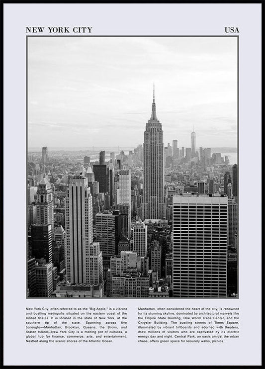 This Is New York City Poster