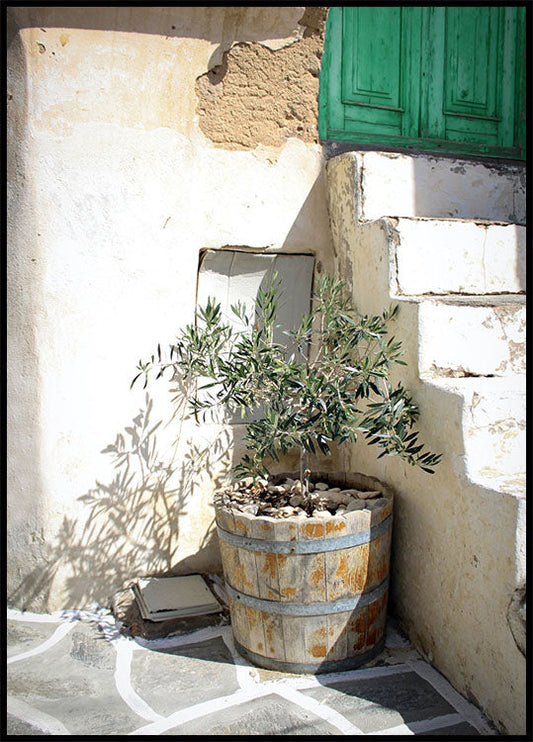Olive Tree Entrance Poster