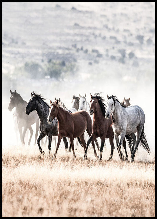Wild Horses Free Spirit Poster