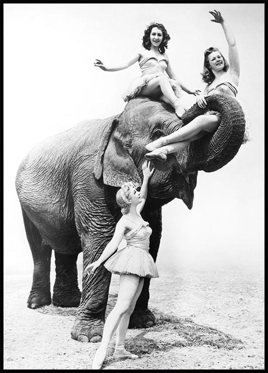Women Riding Elephant Poster