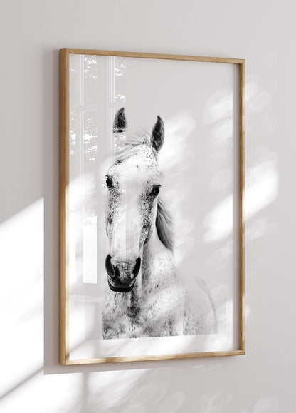 White Horse Poster