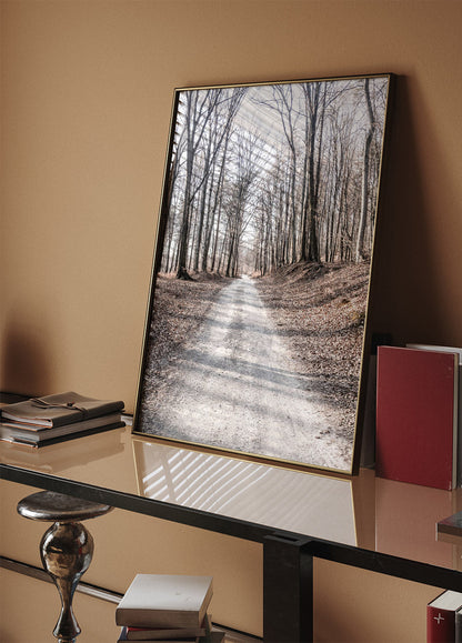 Gravel Road in Forest Poster