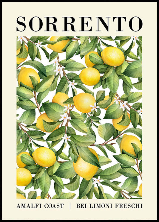 Sorrento Lemon Poster