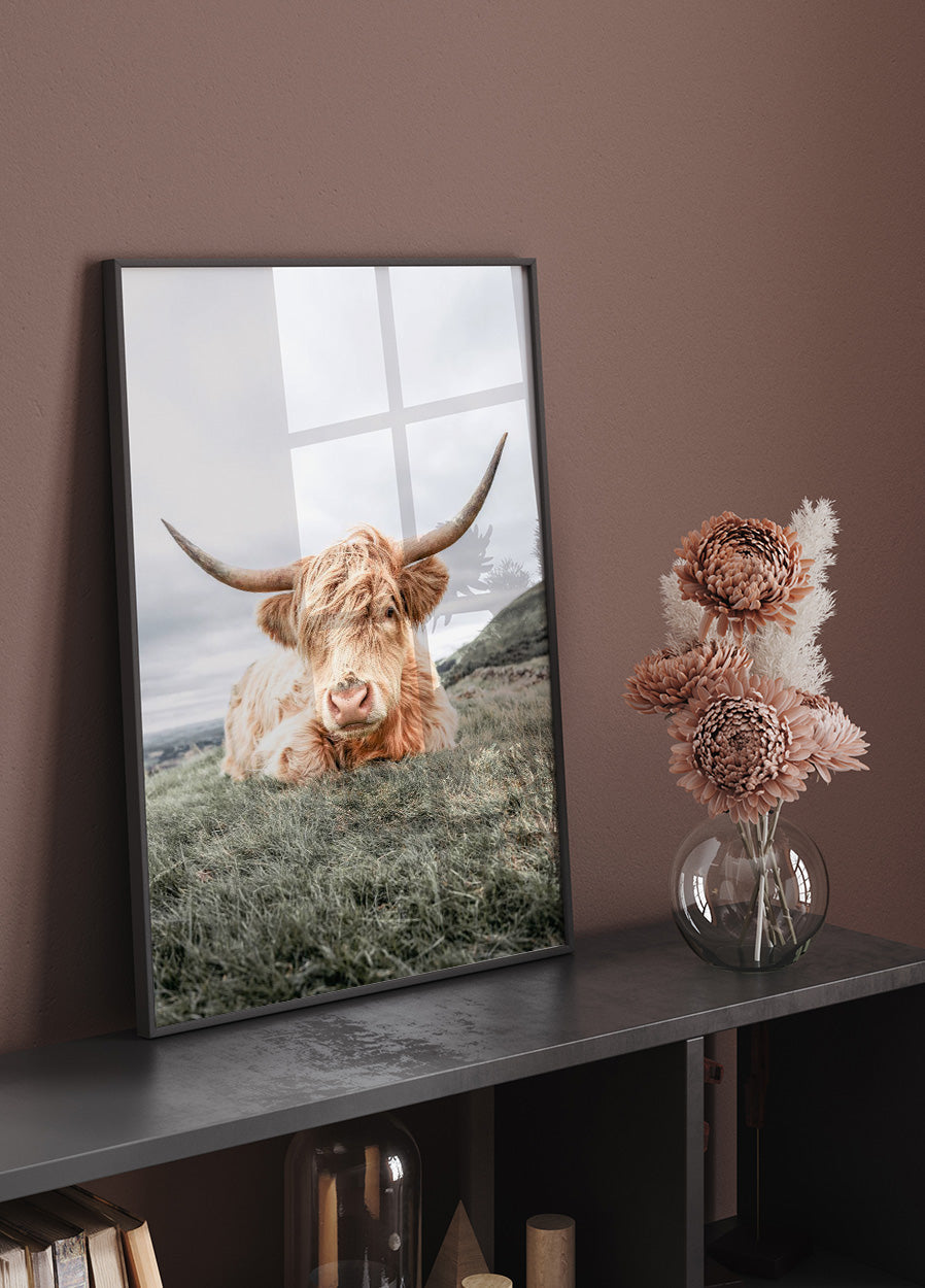 Highland Cow Chilling Plakat