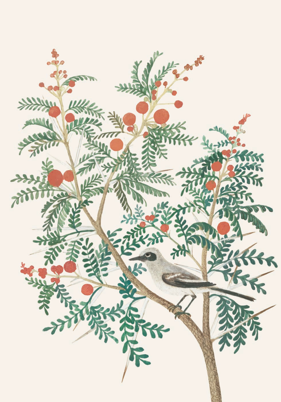 Bird And Red Berries Plakat