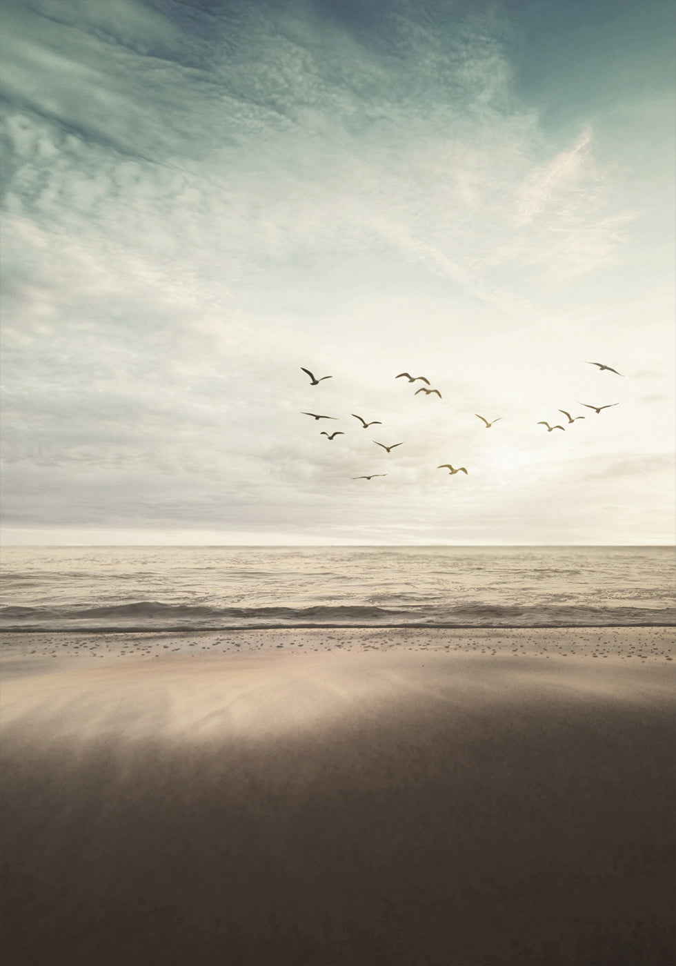 Birds Fly On The Coast Plakat