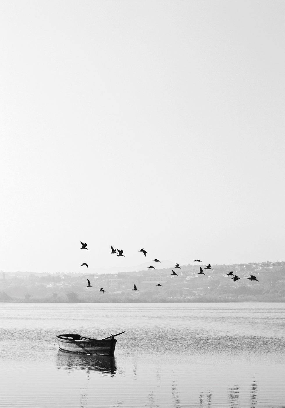 Birds Over Lake Plakat