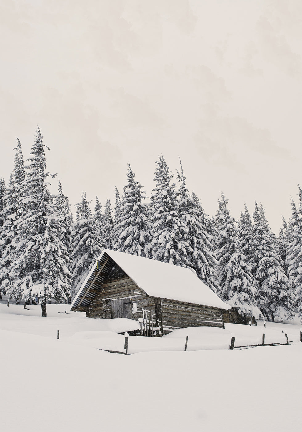 Cabin In Snow Plakat