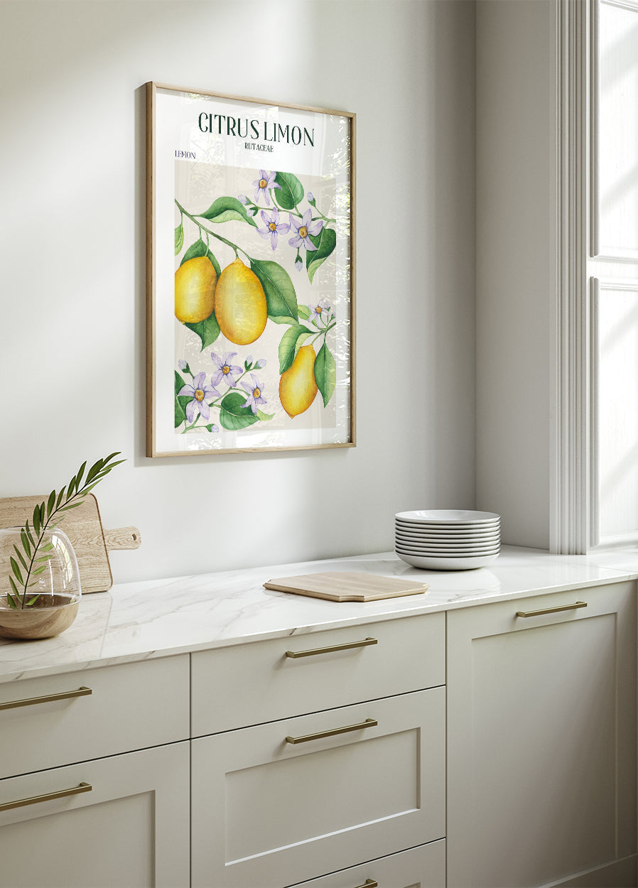 Citrus Limon Plakat