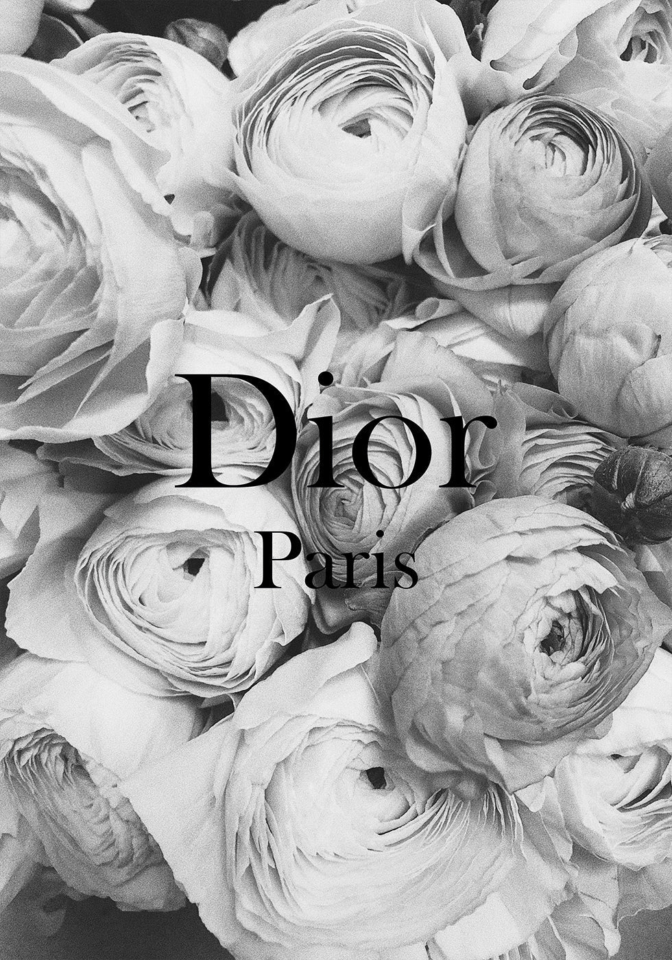 Dior Ranunculus Plakat