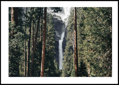 Waterfall in the Forest Plakat