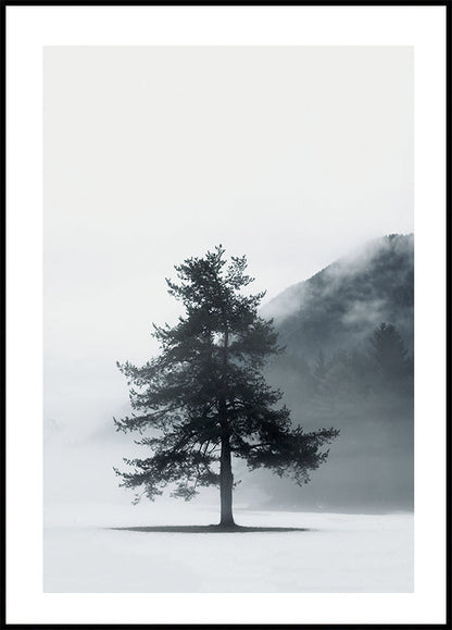 Pine Tree In a Foggy Field Plakat