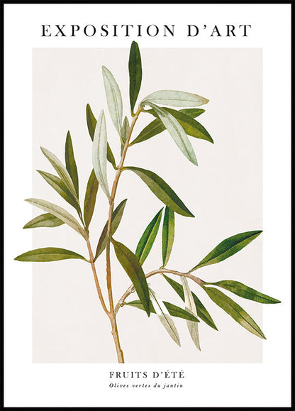 Olive Plakat