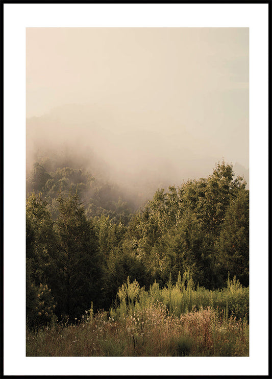 Foggy Forest Plakat