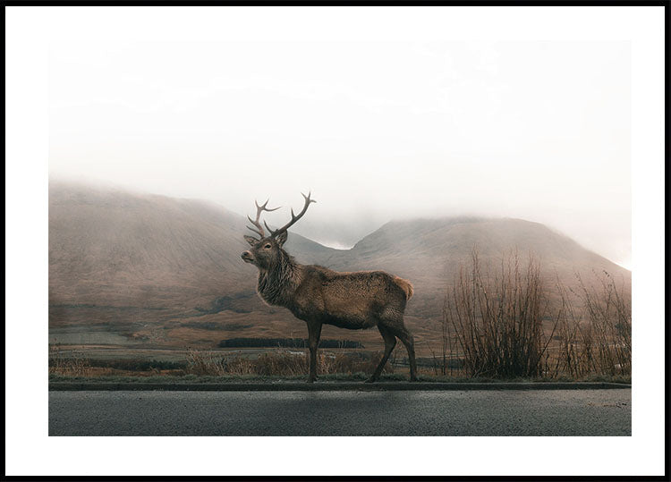 Deer In The Fog Plakat