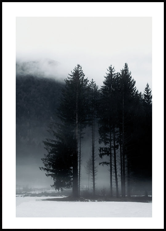 Pine Tree In a Foggy Field Plakat