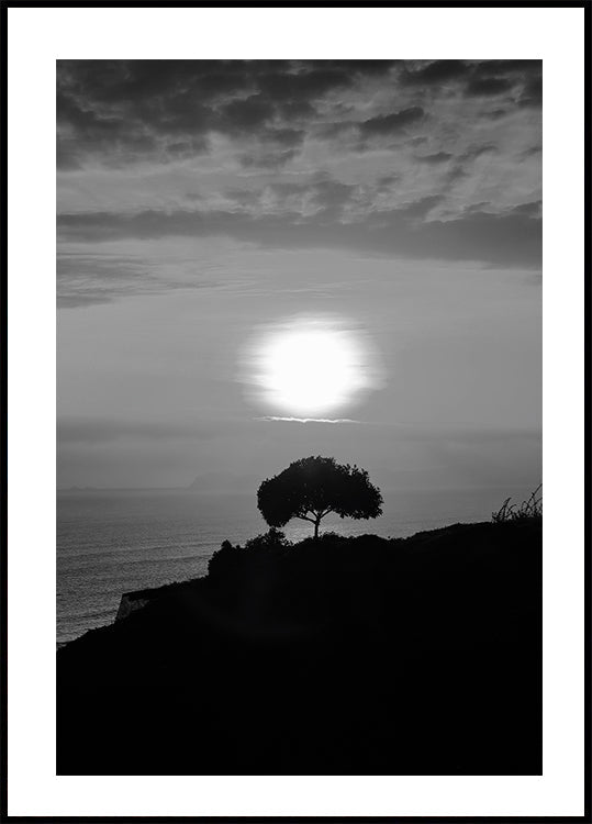 One Tree At Sunset Plakat