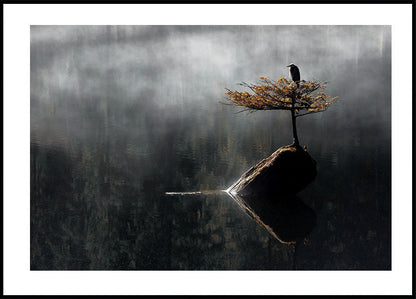 Heron Sitting On The Bonsai Tree Plakat