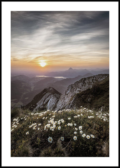 Flowers On The Mountain Plakat