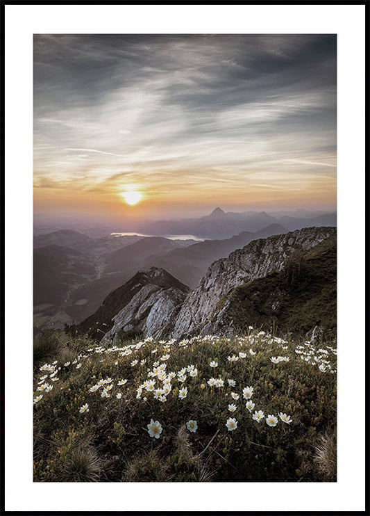 Flowers On The Mountain Plakat