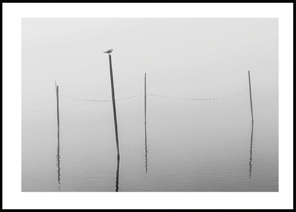 Misty Reflections in Black and White Plakat