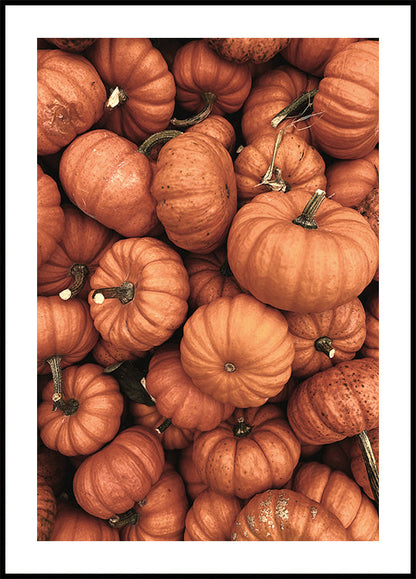 Pumpkin Season Plakat