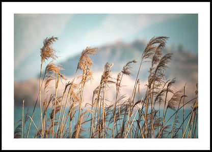 Reeds By The Lake Plakat