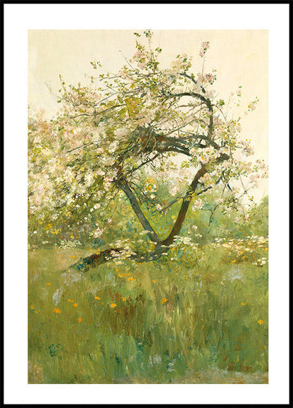 Peach Blossoms Villiers-le-Bel By Childe Hassam Plakat