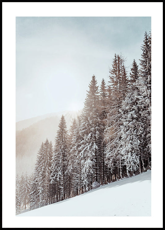 Snow Covered Trees Plakat