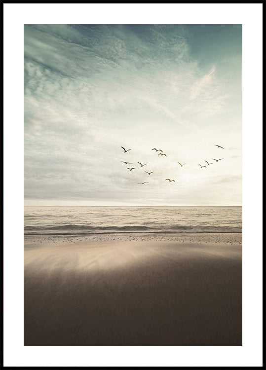 Birds Fly On The Coast Plakat