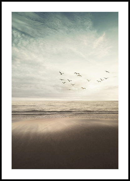 Birds Fly On The Coast Plakat