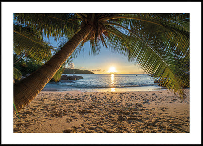 Sunrise on tropical beach plakat