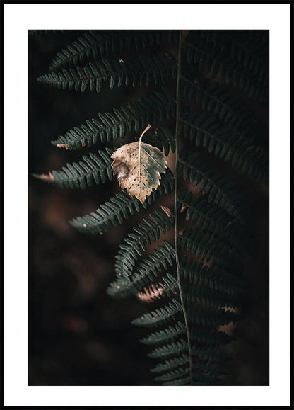 Fern No. 1 Plakat