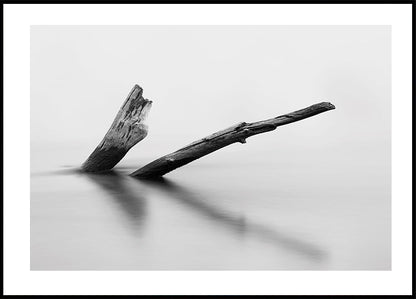 Wooden Log In The Water Plakat