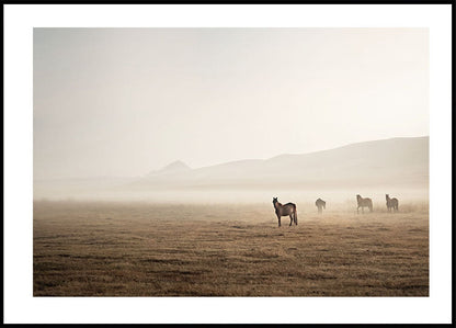 Horses in The Fog Plakat