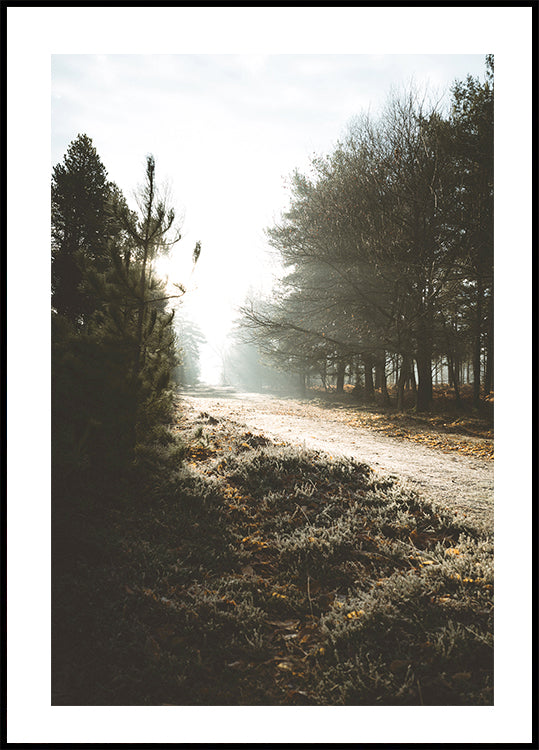 New Forest Plakat