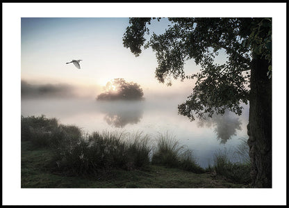 Heron Flying Over a Foggy Lake Plakat